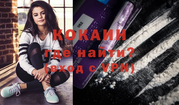 прущие грибы Новокубанск