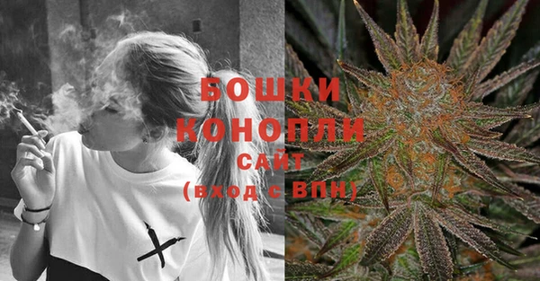 крисы Новозыбков