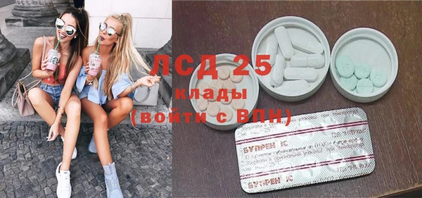 крисы Новозыбков