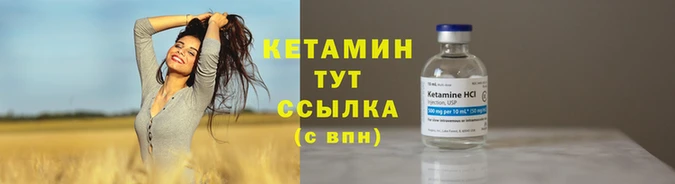 прущие грибы Новокубанск