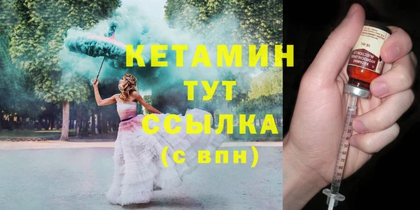 крисы Новозыбков