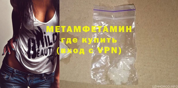 крисы Новозыбков