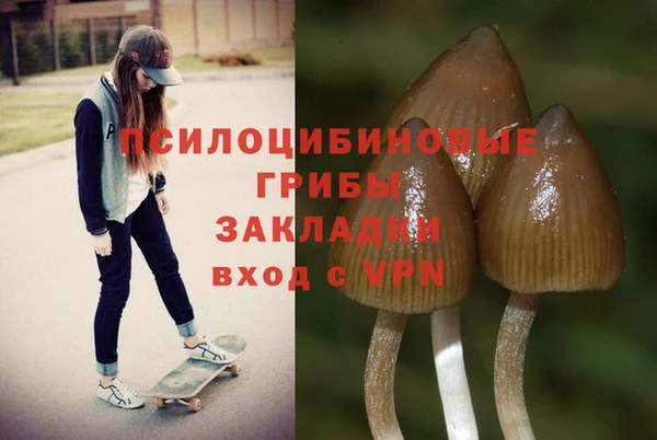 apvp Нефтекумск
