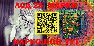 PSILOCYBIN Гатчина