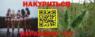 PSILOCYBIN Гатчина