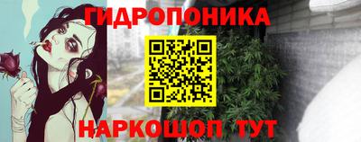 PSILOCYBIN Гатчина