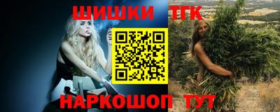 PSILOCYBIN Гатчина