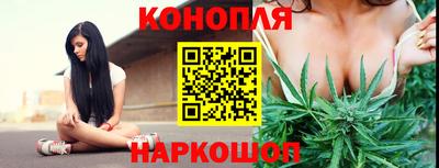 PSILOCYBIN Гатчина