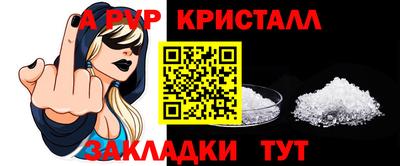 PSILOCYBIN Гатчина