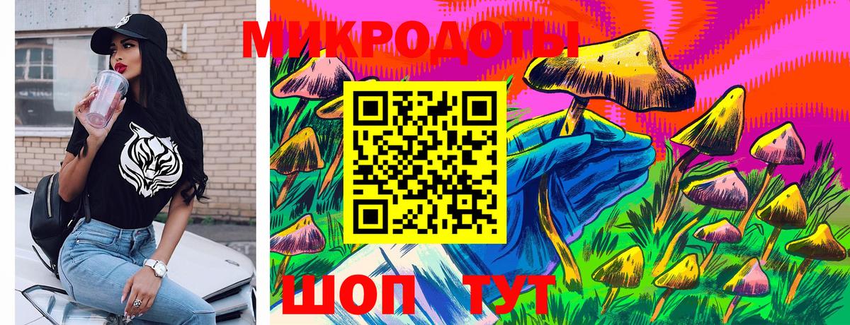 Псилоцибиновые грибы Psilocybine cubensis  Галлюциногенные грибы MAGIC MUSHROOMS  Зеленогорск  Вход с VPN 