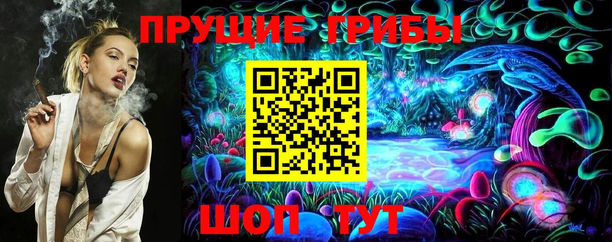 Псилоцибиновые грибы Psilocybe  Зеленогорск 