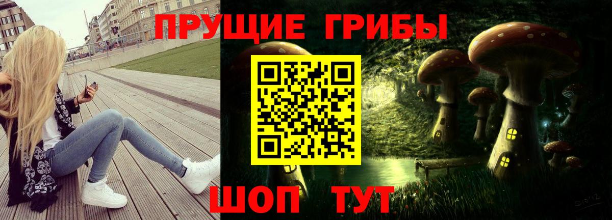 Псилоцибиновые грибы Cubensis Зеленогорск